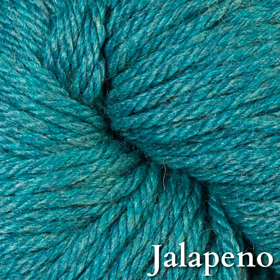 Berroco Vintage Chunky