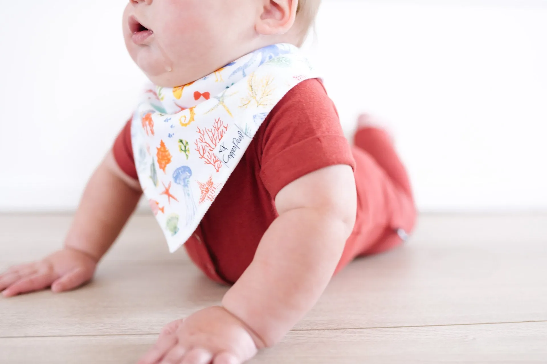 Copper Pearl Nautical Bandana Bib Set