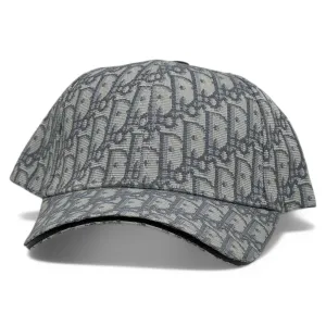 Dior Monogram Grey Luxury CaP