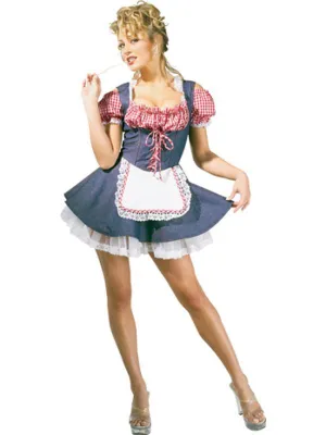 Farmers Daughter Secret Wishes Costume Size S