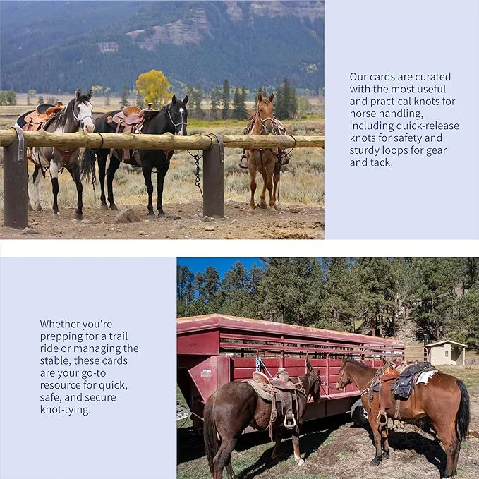 Harrison Howard Wisdom4Sure Comprehensive Knot Card Collection Horse, Outdoor, and Climbing Knots Card Set Waterproof Knot Tying Cards Ultimate Knot Guides