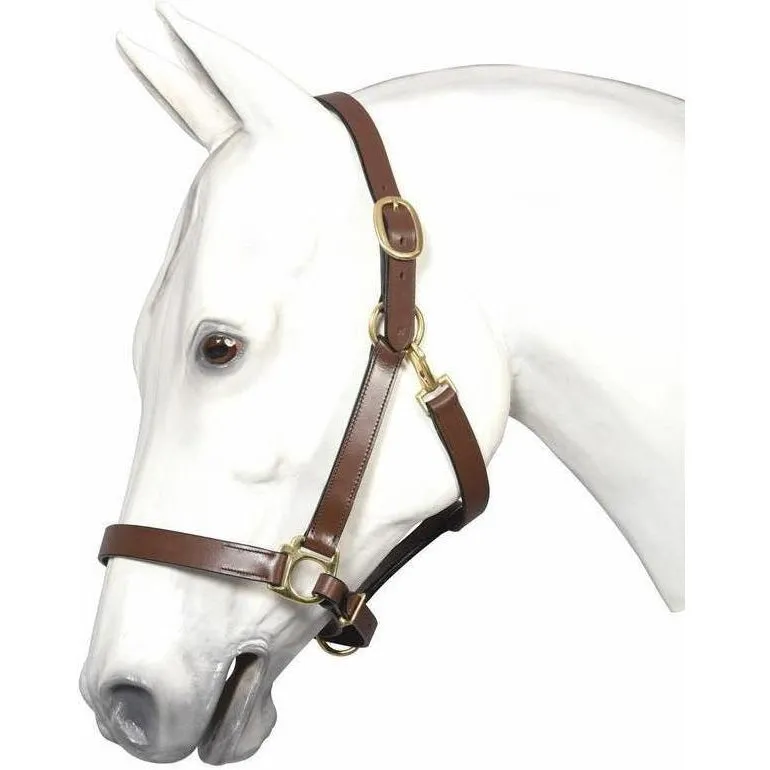 Henri de Rivel Advantage Leather Halter