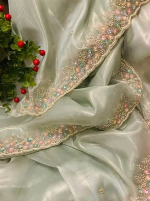 Pure Banarasi Tissue Organza Saree