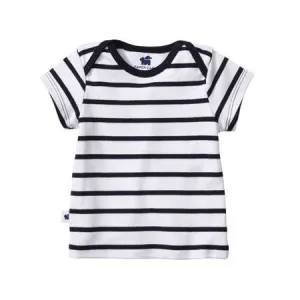 Short Sleeve Everwhere Tee