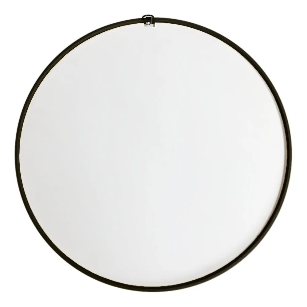 South Carolina Gamecocks: Modern Disc Mirrored Wall Sign