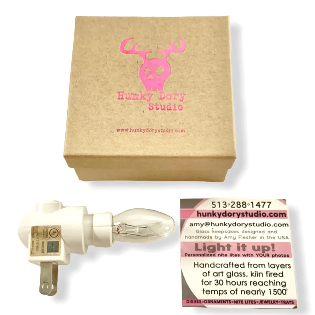 Vintage Bird Night Light