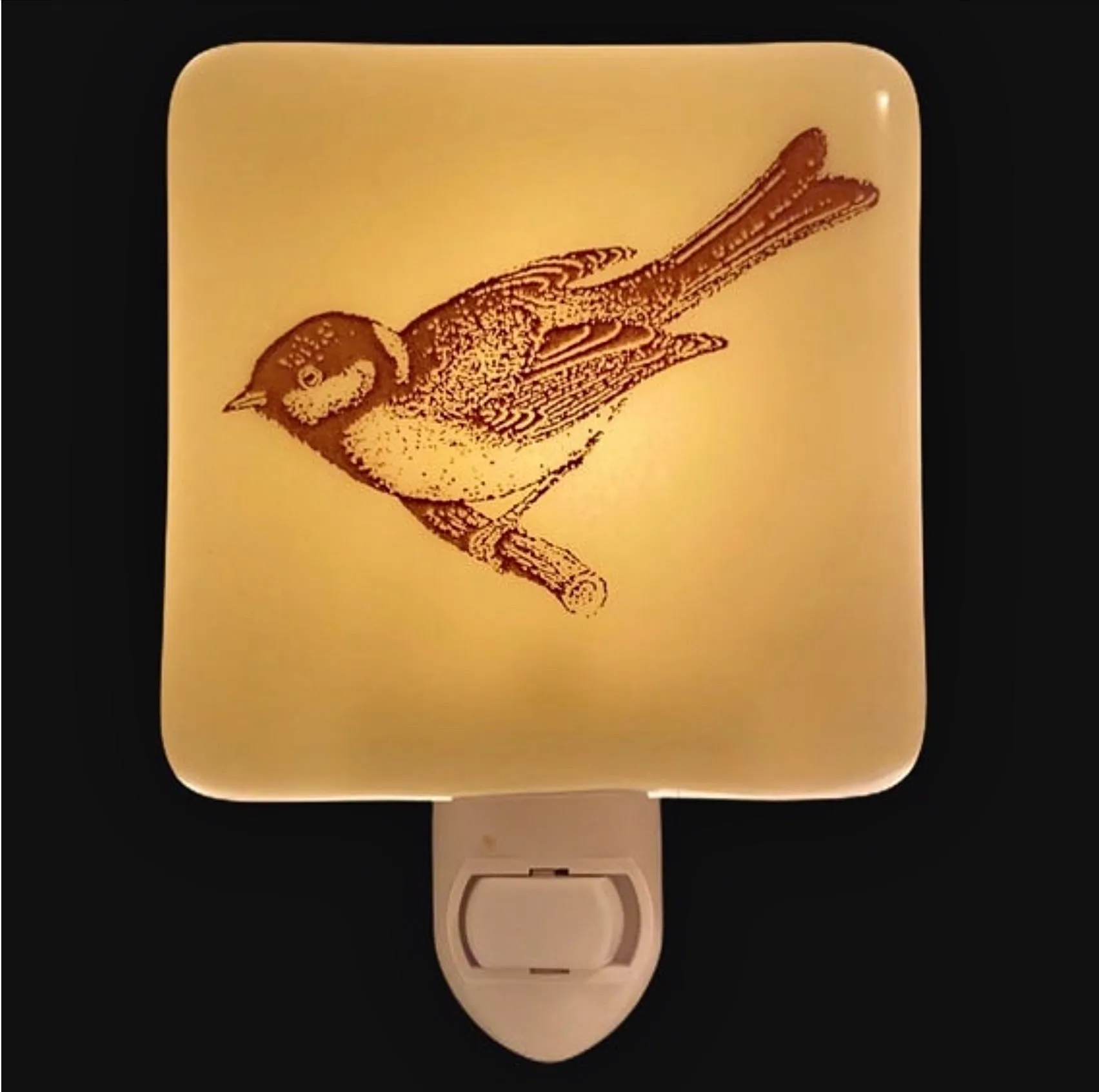 Vintage Bird Night Light