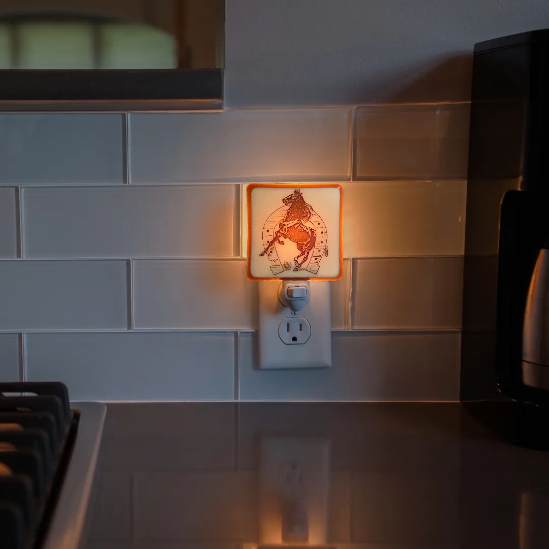 Vintage Horse and Horse Shoe Night Light