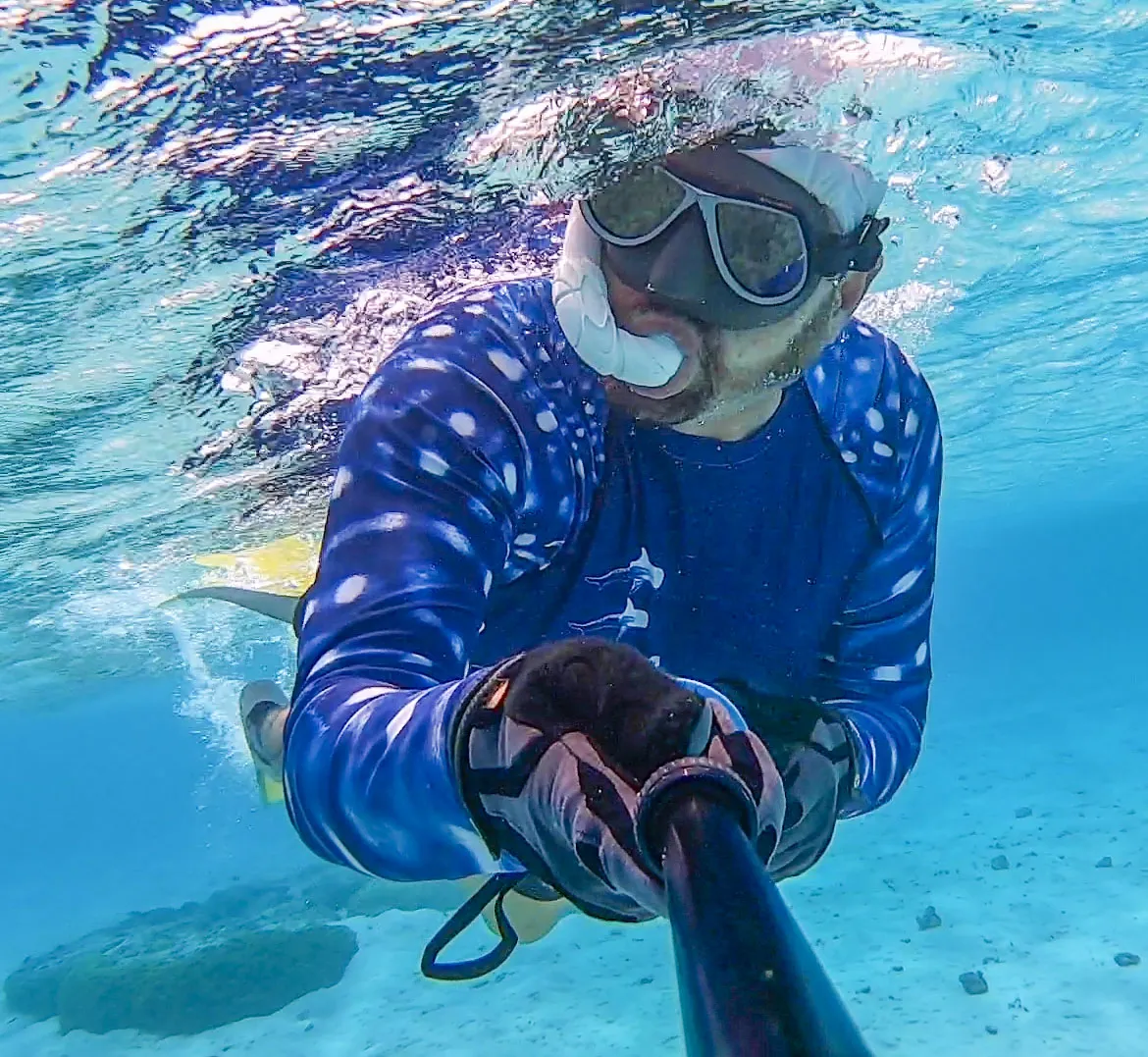 Whale Sharking BLUE Men's Rash Guard
