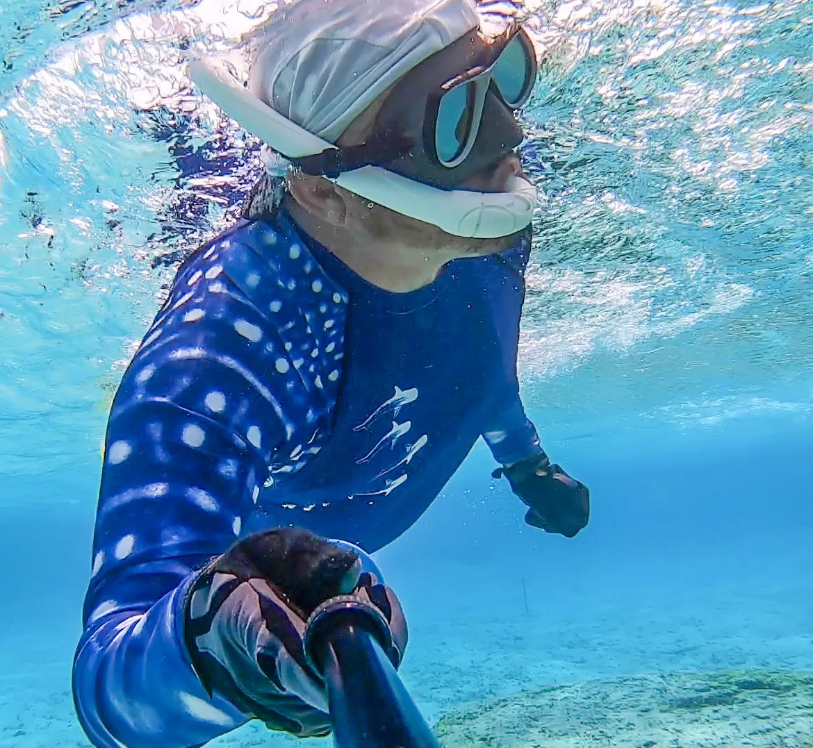 Whale Sharking BLUE Men's Rash Guard